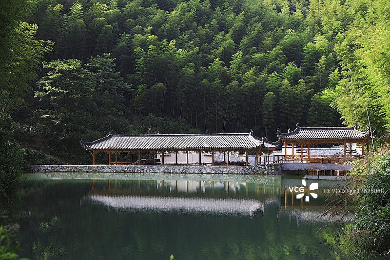 中国,安徽省,木坑竹海,竹坑,黄山风景区,竹子图片素材
