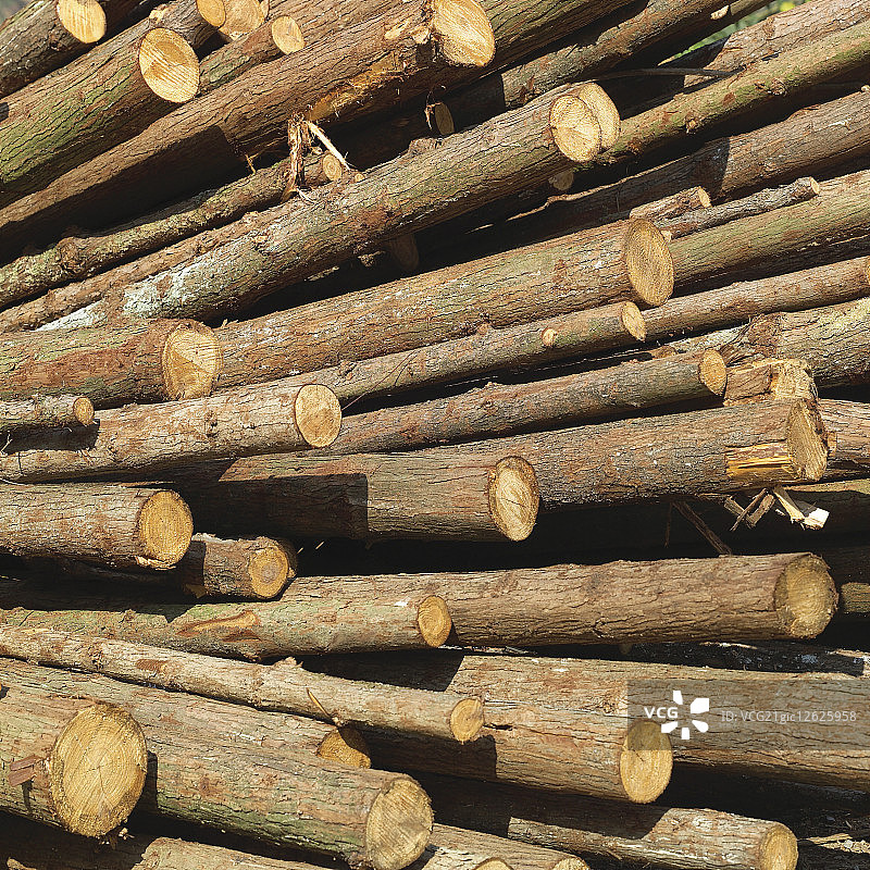 农业,砍伐森林,图片素材