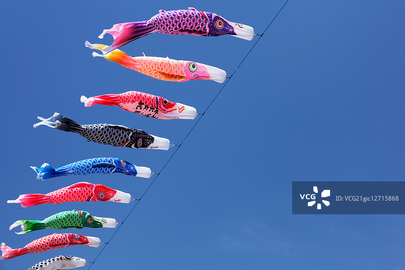 鲤鱼旗图片素材