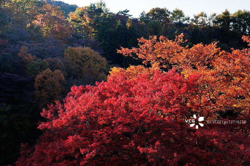 日本群马县图片素材