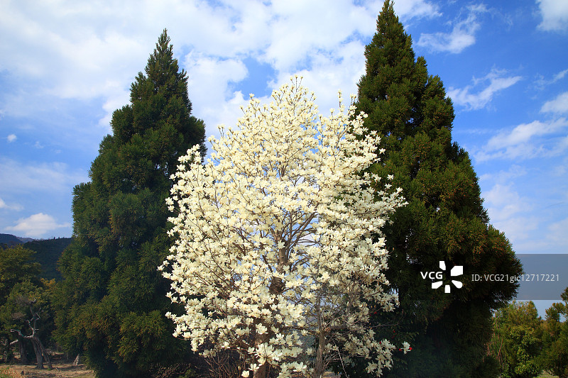 日本奈良县图片素材