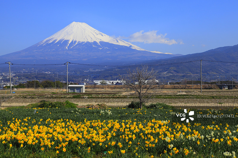 日本静冈县图片素材