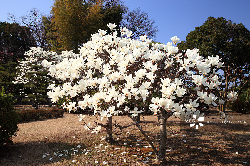 日本奈良县图片素材