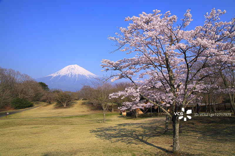 日本静冈县图片素材