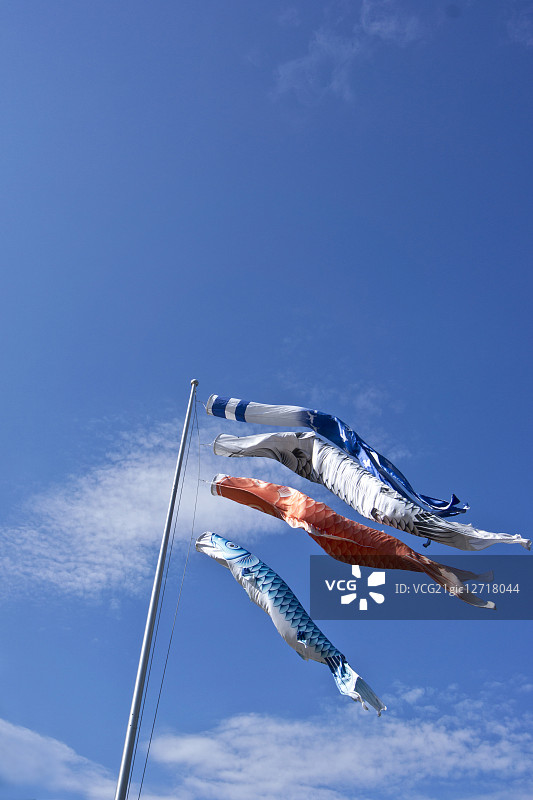 鲤鱼旗图片素材