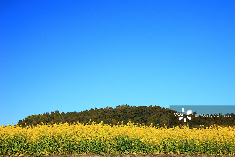 日本鹿儿岛县图片素材