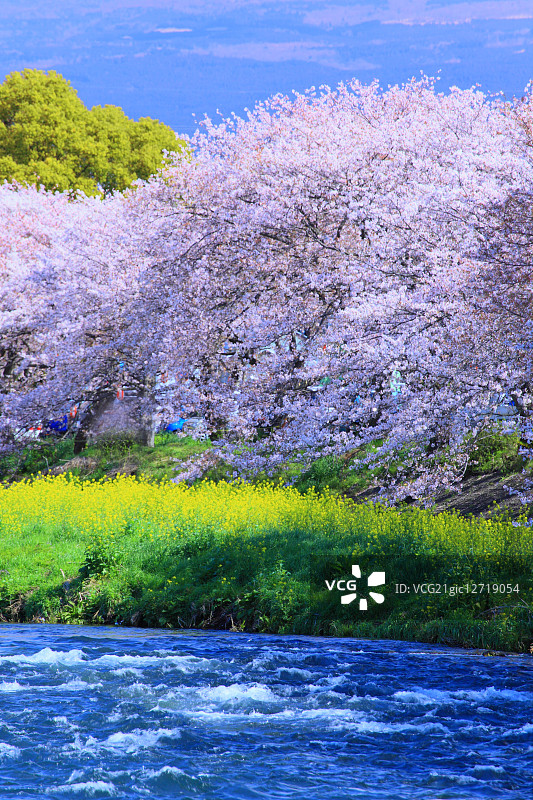 日本静冈县图片素材