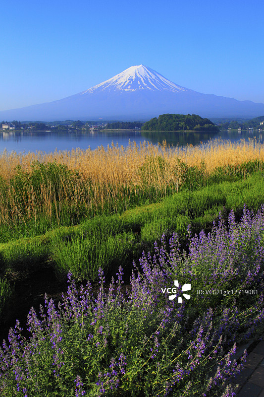 日本山梨县县图片素材