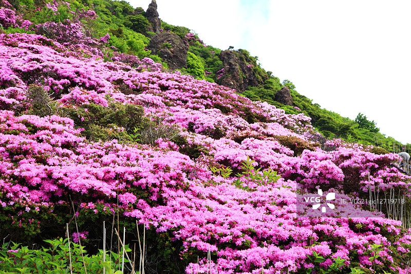日本大分县图片素材
