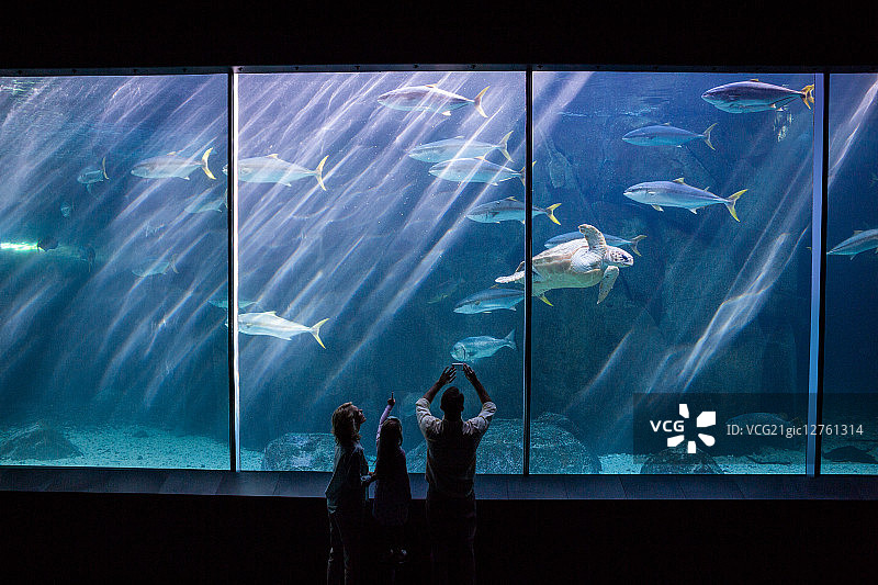 幸福的一家人在水族馆观赏鱼缸图片素材