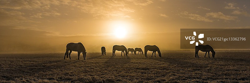 覆霜的光芒图片素材