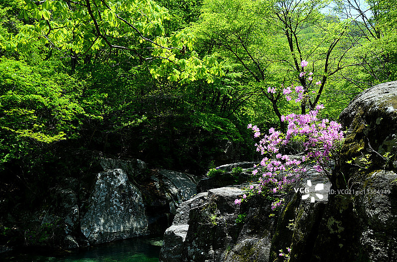 春意盎然的巍峨群山图片素材