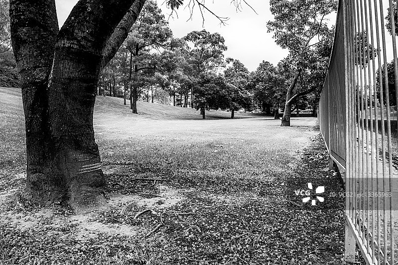 Jacob Creek图片素材