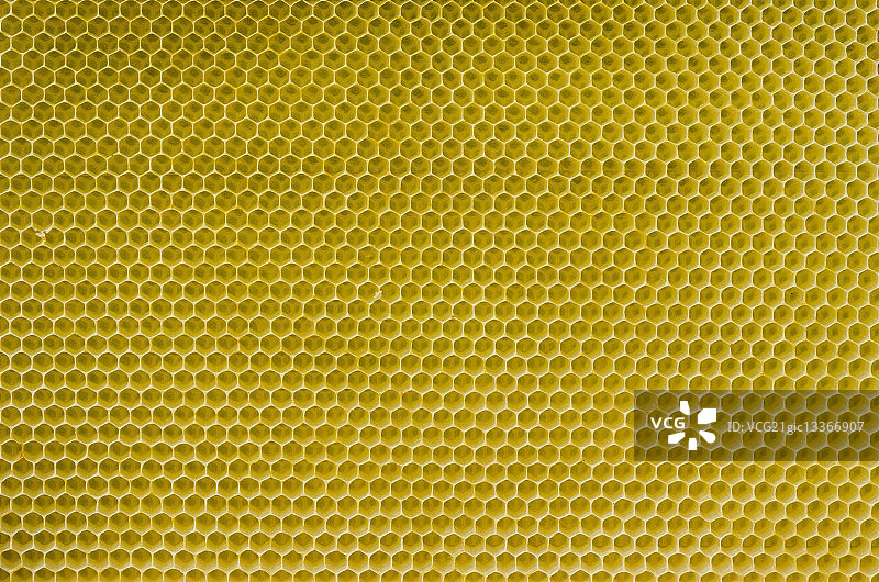 蜂窝图案图片素材