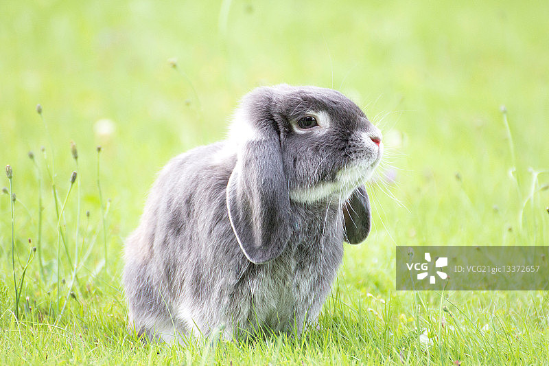 爽约...图片素材