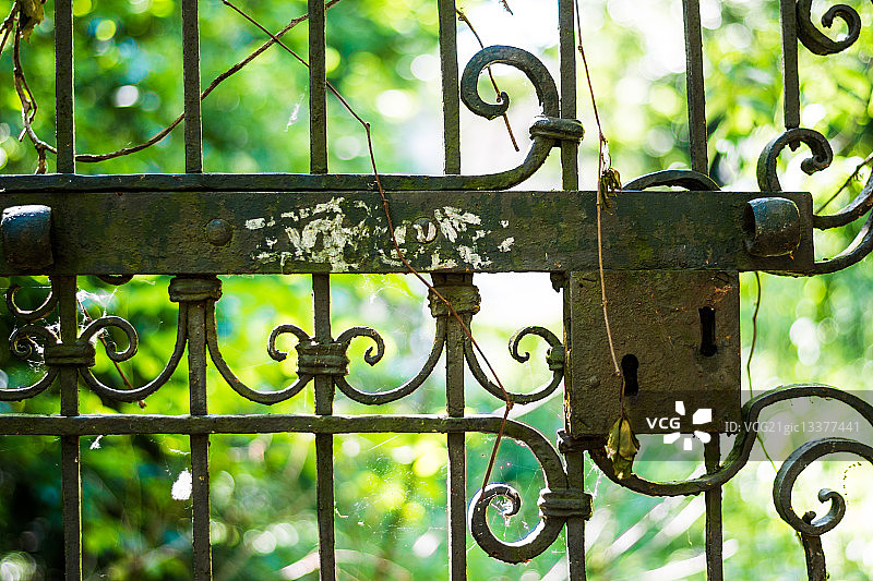 秘密花园图片素材