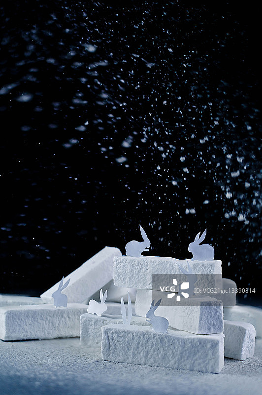 北极兔（糖霜）图片素材