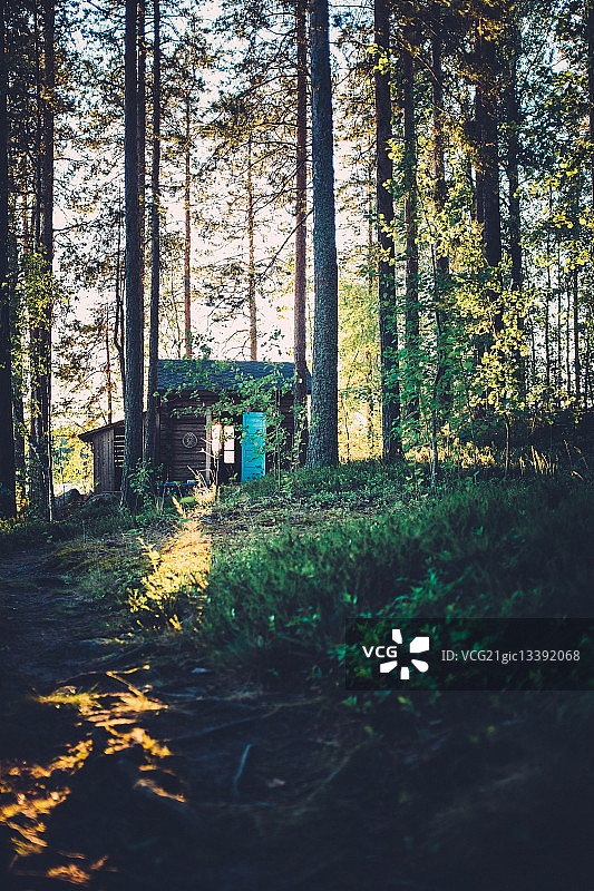 芬兰森林中的小屋图片素材