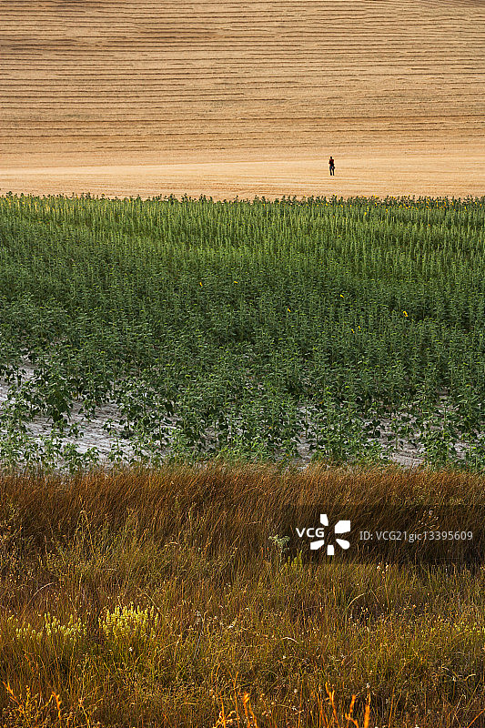 摄影采风图片素材