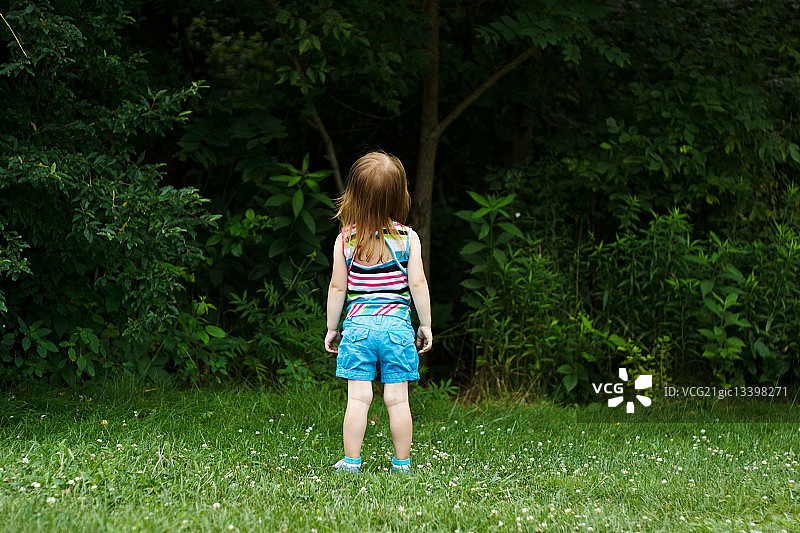 凝视树林深处图片素材