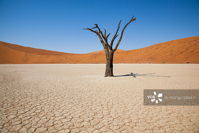 纳米布：死亡谷图片素材