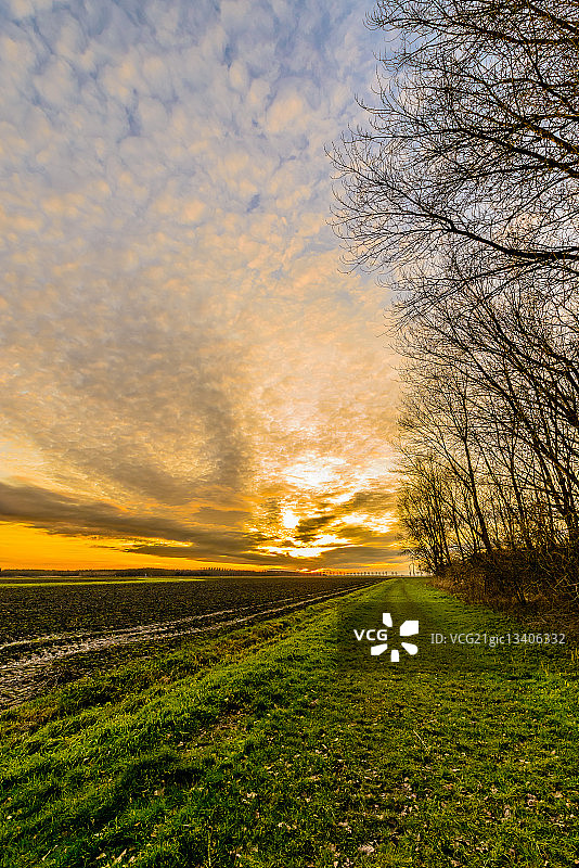 荷兰弗莱福兰阿尔梅勒围垦区的绚丽日落图片素材