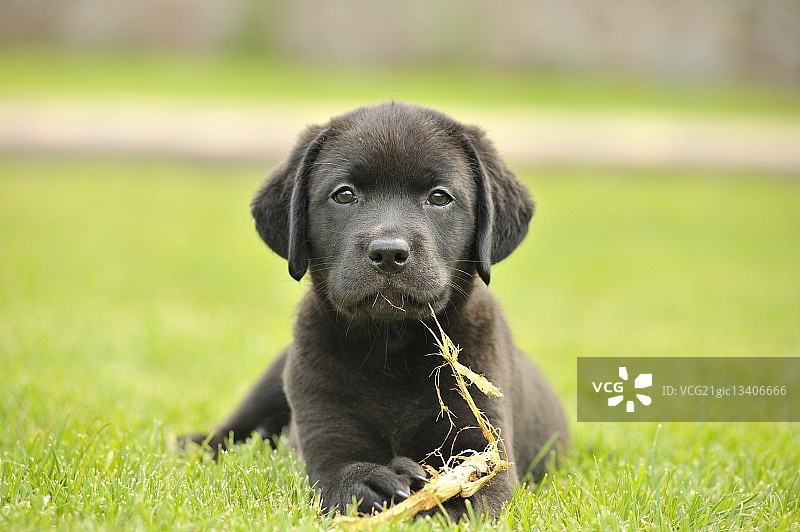 摄影师：Bankita Bond图片素材