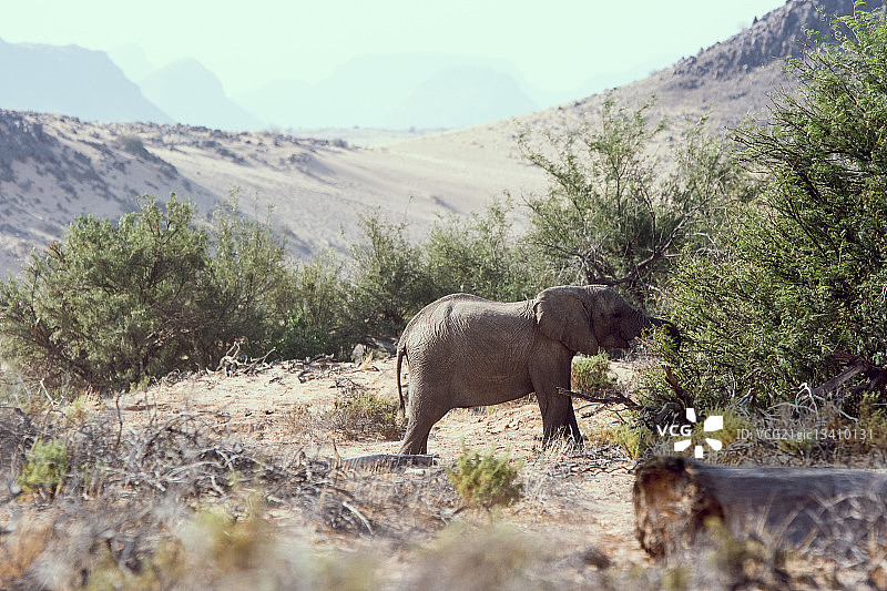 奥普沃，纳米比亚图片素材