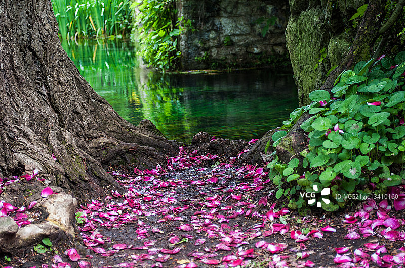 宁法花园图片素材