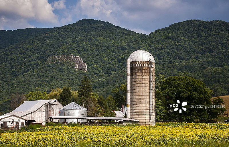 美国西弗吉尼亚州以山为背景的农场图片素材