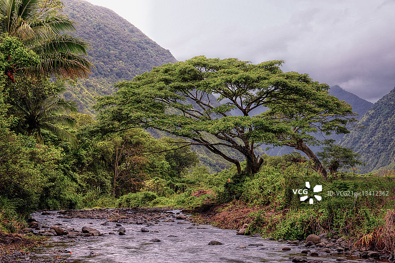夏威夷怀皮奥山景图片素材