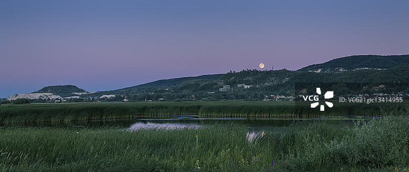 俄罗斯萨马拉，黄昏时分河岸和山丘上的沼泽芦苇图片素材