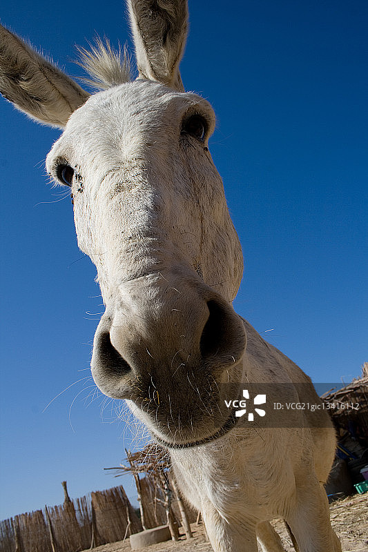 那是什么？图片素材