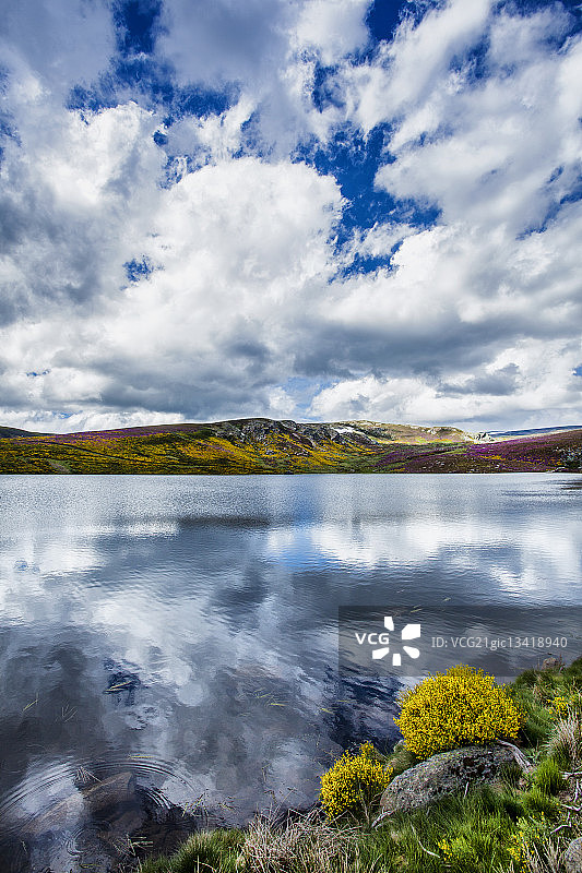 拉古纳图片素材