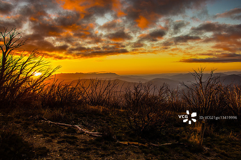 维多利亚州布法罗山国家公园日落图片素材