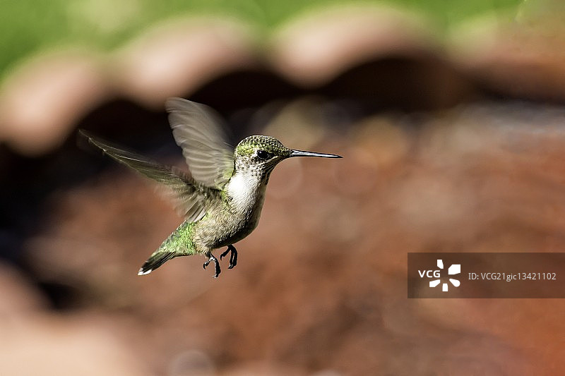 在29号跑道上清晰着陆图片素材