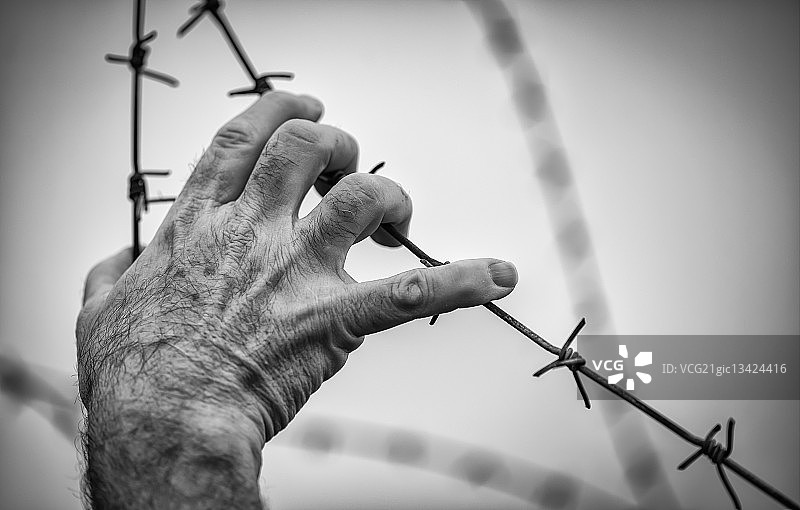 手触摸带刺铁丝网，比利时布伦东克图片素材
