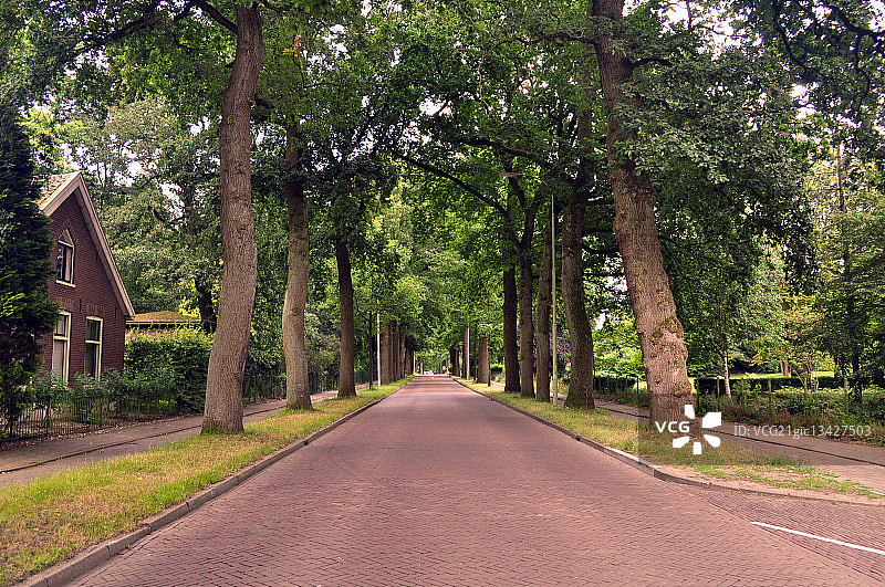 荷兰海尔德兰省瓦赫宁恩郊区的道路图片素材