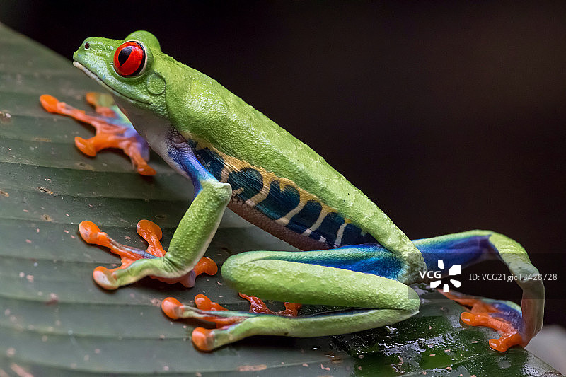 一起跳跃吧！图片素材