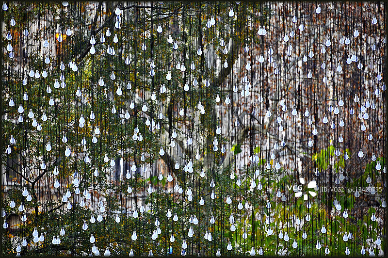 悬挂灯泡装置，美国纽约市麦迪逊广场公园图片素材