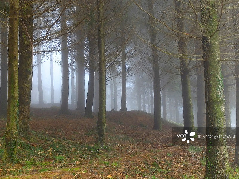 意大利托斯卡纳阿尔卑斯山加贝里山雾景图片素材
