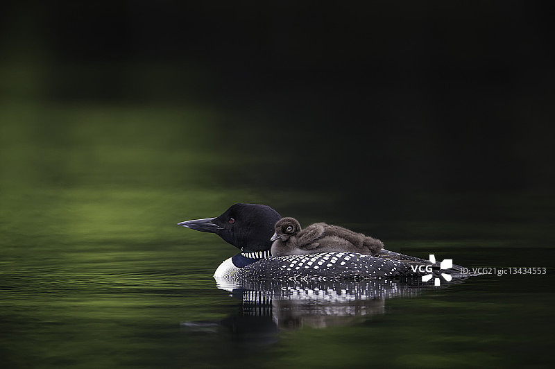 宁静的清晨休息图片素材