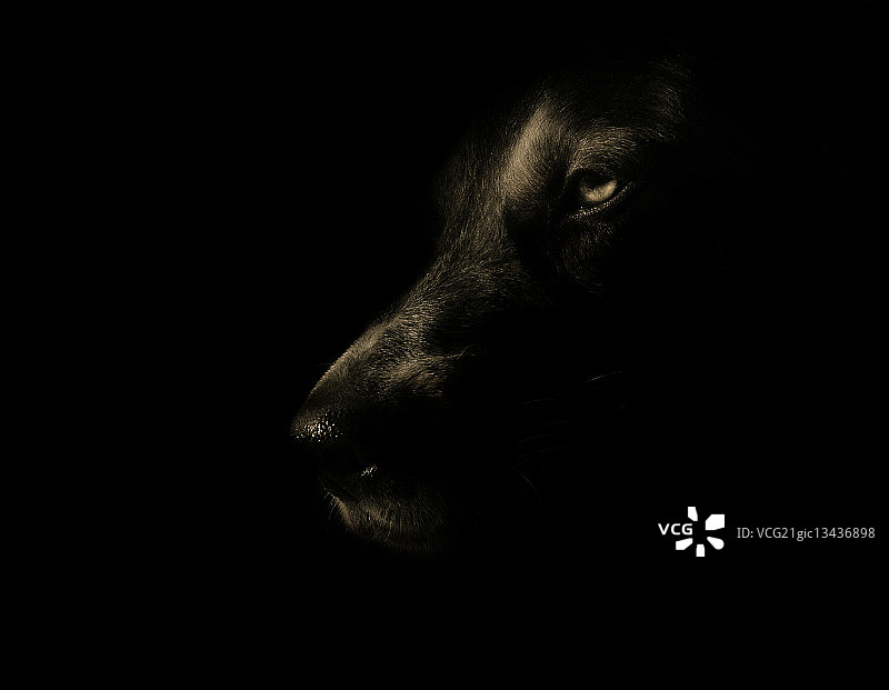 IL Kölle拍摄作品图片素材