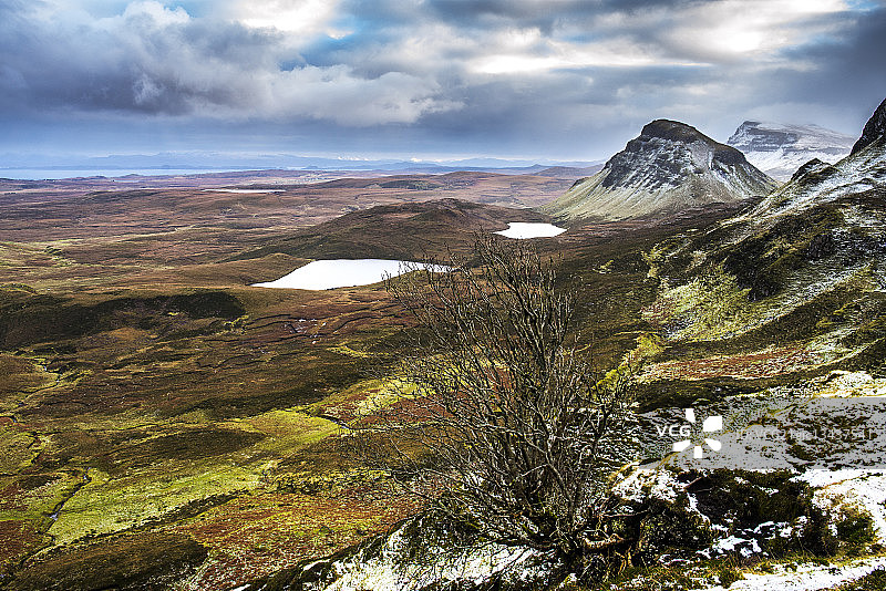 奎雷英图片素材