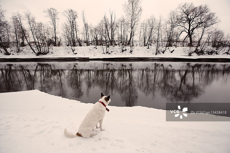 摄影师：Andrey Larionov图片素材