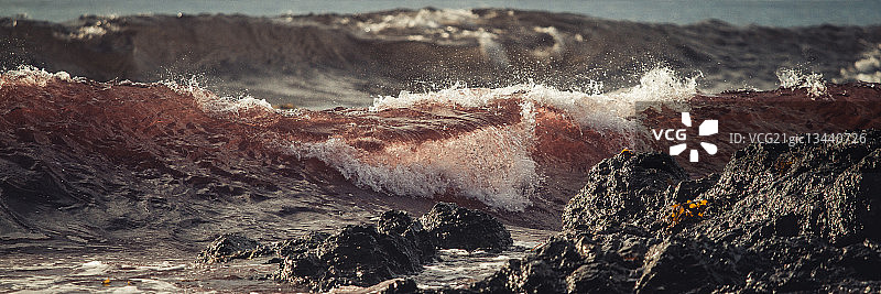 Judith Conning摄影作品图片素材