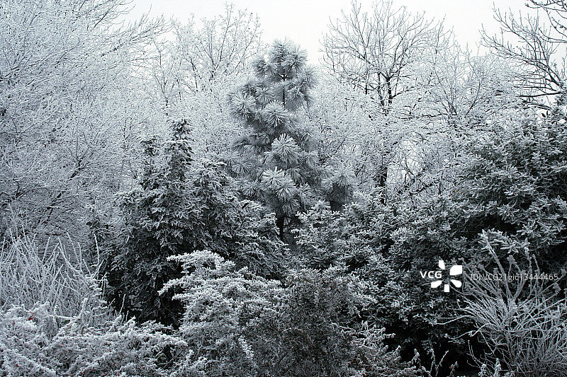 冰河时代图片素材