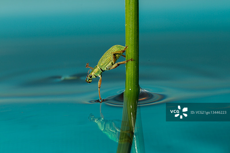 完美温度！图片素材