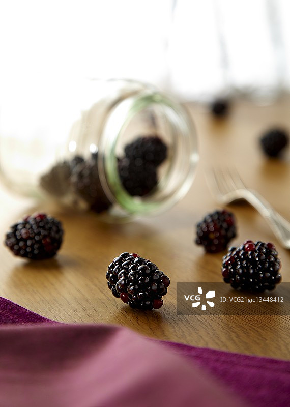 黑加仑图片素材