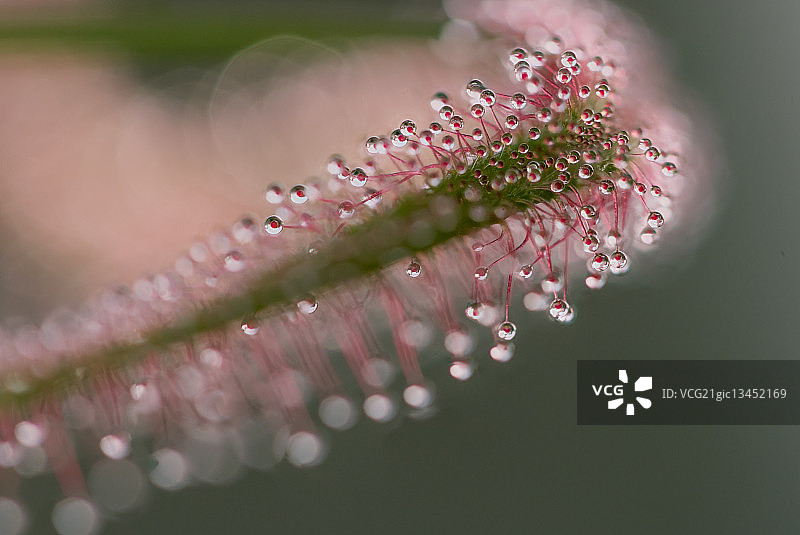 致命水滴图片素材